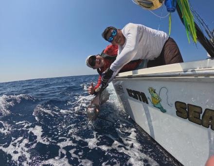 Aventuras Inolvidables con ECSTASEA Sportfishing